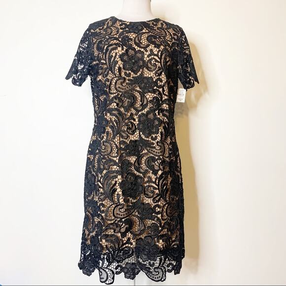 NWT Dress the population Anna lace sheath dress sz XL - Picture 8 of 8